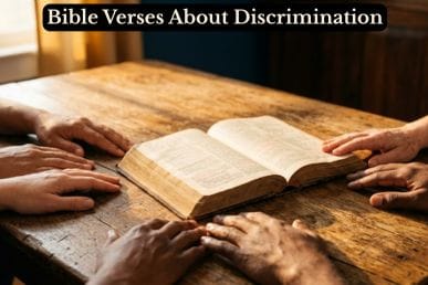 Diverse hands resting together on an open Bible in warm golden light, representing unity from Bible verses about discrimination.