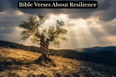 A storm-bent olive tree stands rooted on a hillside as golden light breaks through clouds, symbolizing Bible verses about resilience.